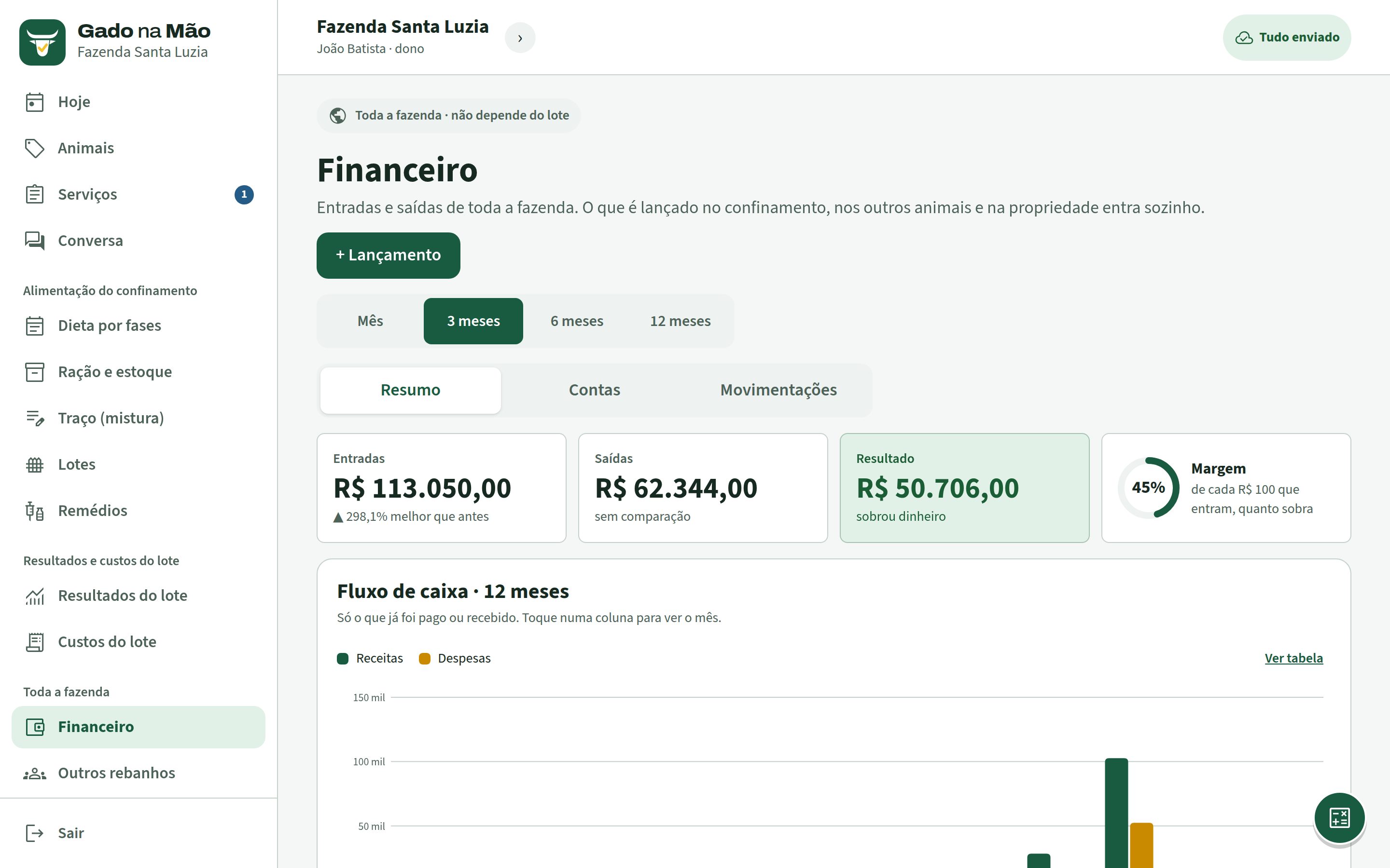 Financeiro no computador com entradas, saídas, resultado, margem e fluxo de caixa