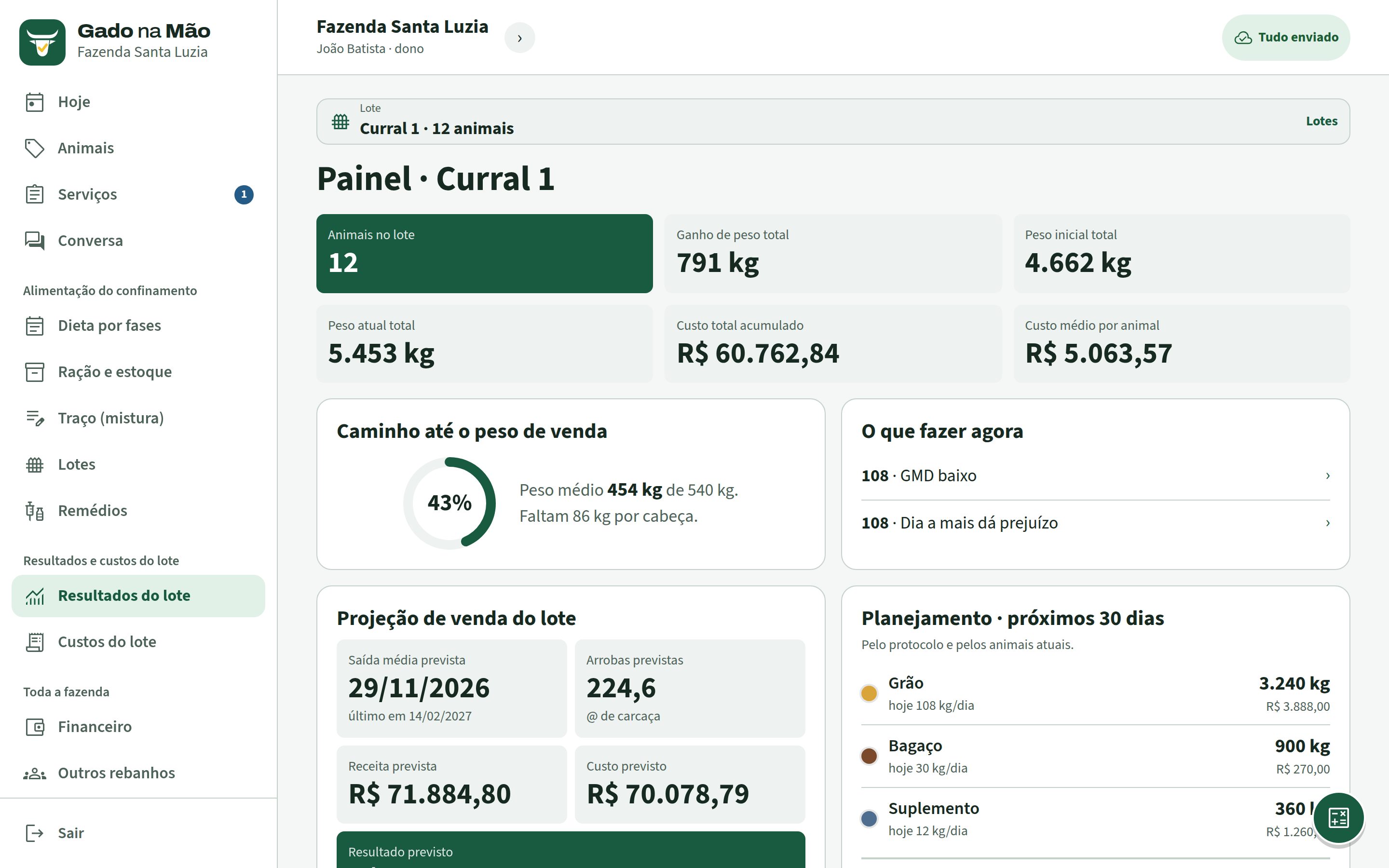 Painel do lote no computador com peso, custo acumulado, caminho até o peso de venda e projeção